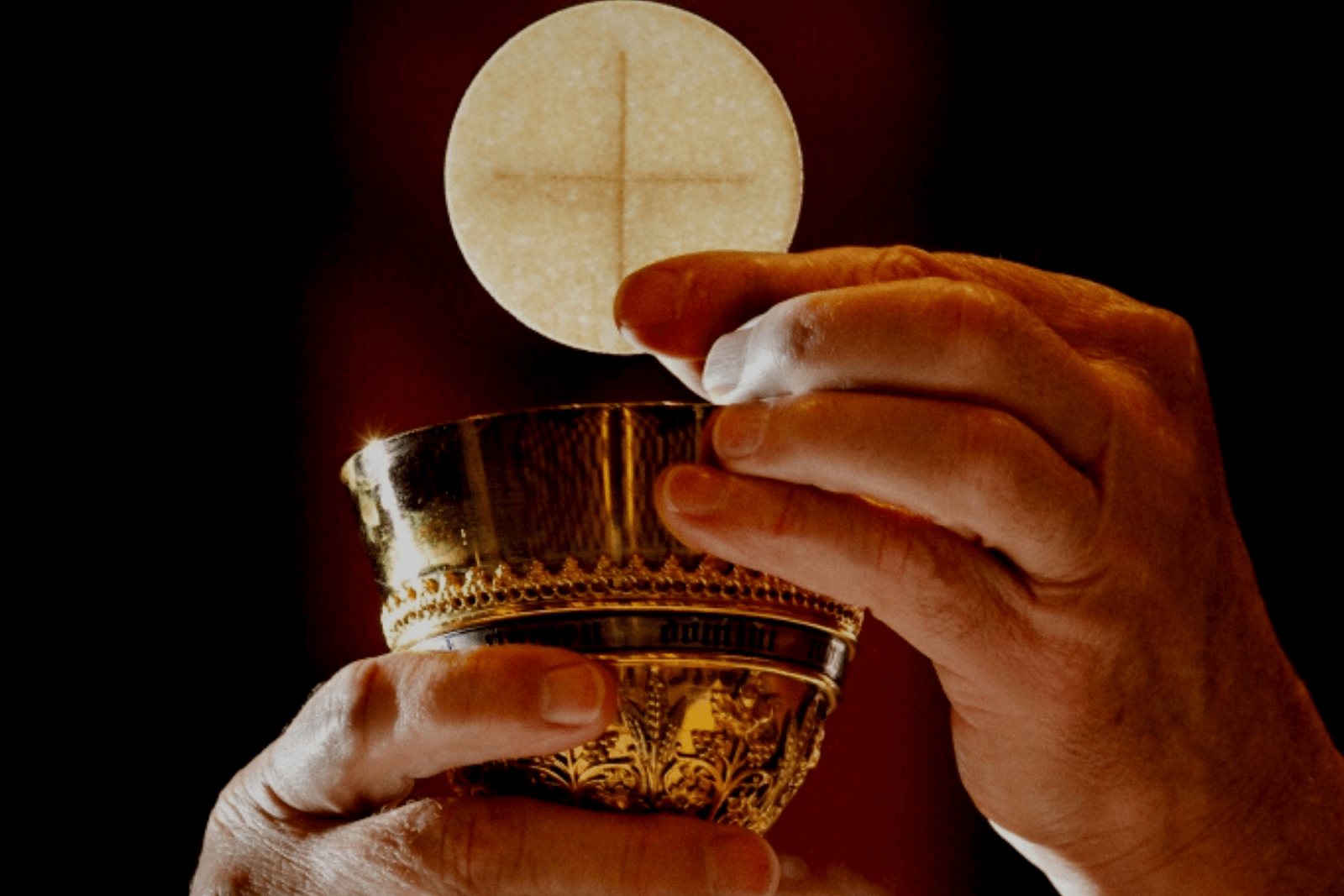 The Solemnity of the Most Holy Body and Blood of Christ
